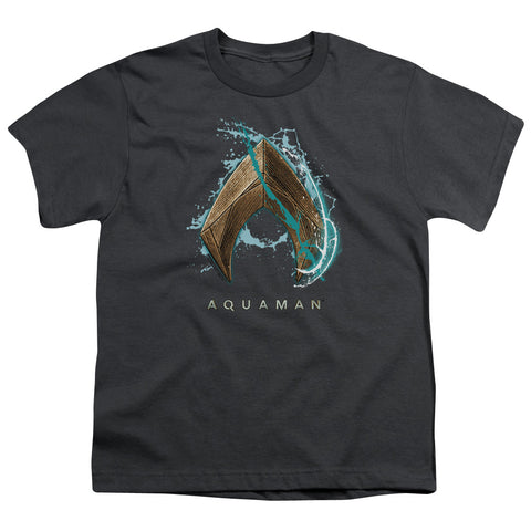 Aquaman Movie/water Shield-s/s Youth 18/1-charcoal