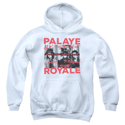 Youth Hooded Sweatshirt
