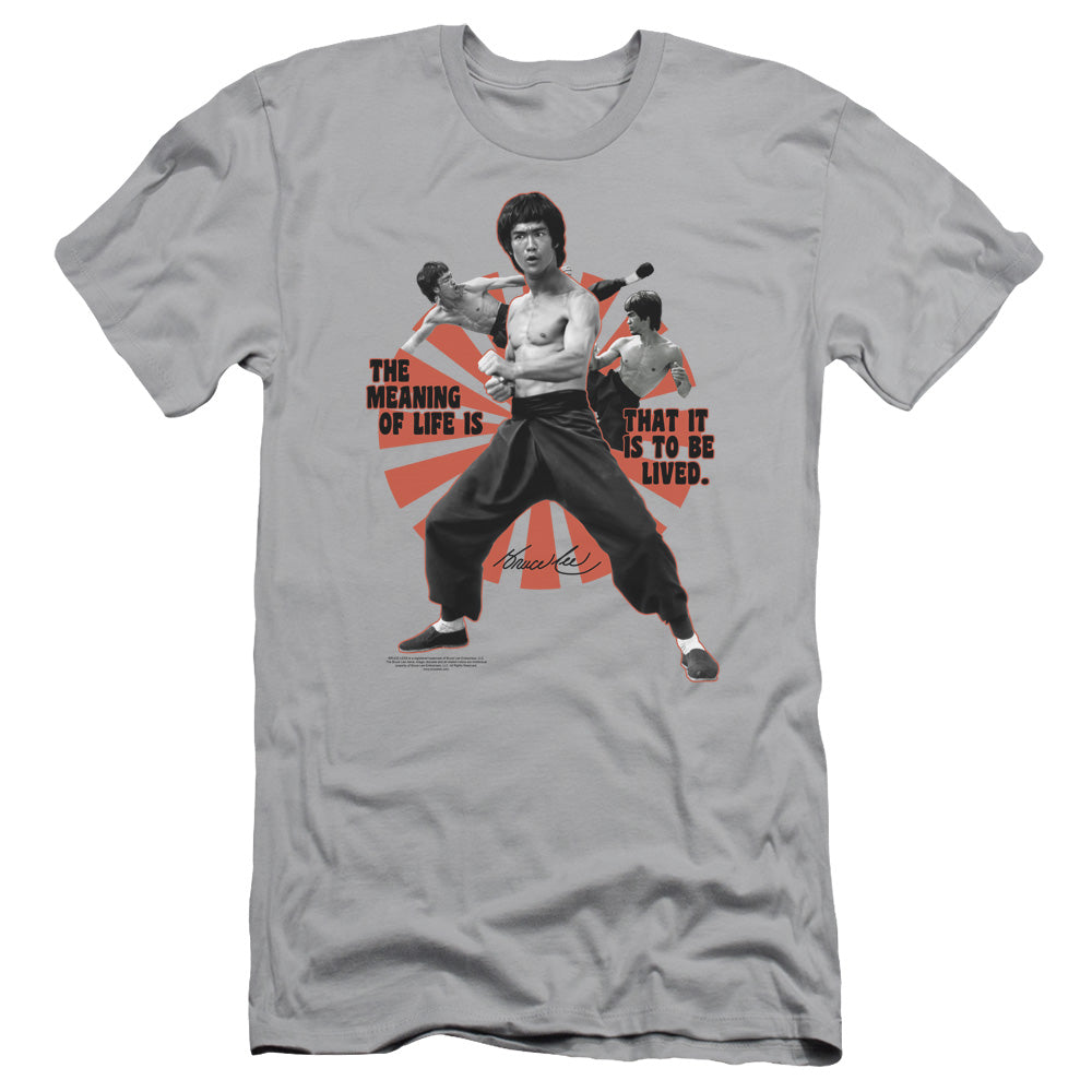 Adult Slim Fit Short Sleeve