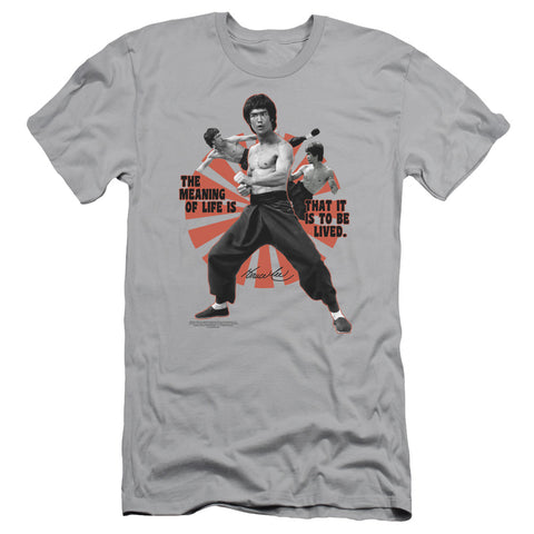 Adult Slim Fit Short Sleeve