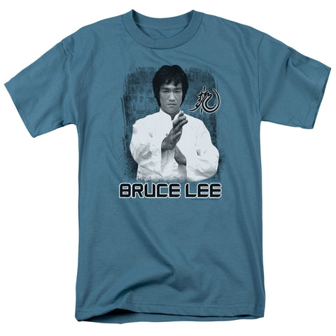 Bruce Lee/concentrate-s/s Adult 18/1-slate