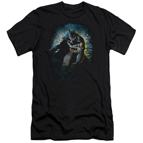 Batman/bat Cave-s/s Adult 30/1-black
