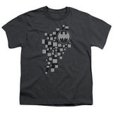 Youth Short Sleeve