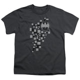 Youth Short Sleeve