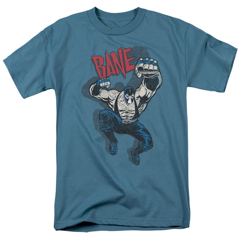 Adult Regular Fit Short Sleeve