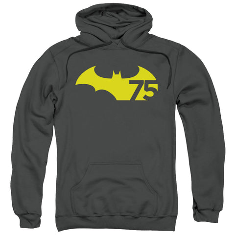 Adult Pull-Over Hoodie - Charcoal - Sm