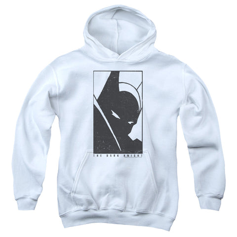Batman/an Icon-youth Pull-over Hoodie-white