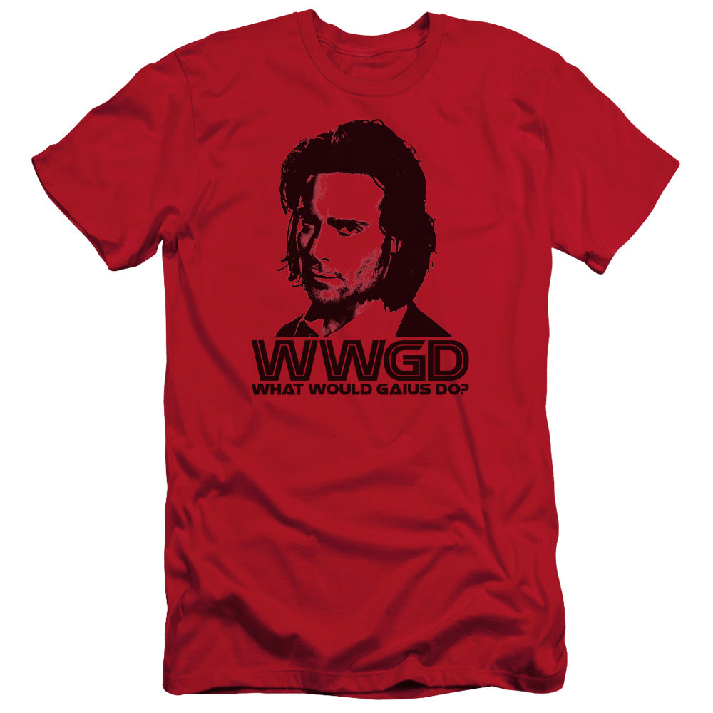 Bsg/wwgd - S/s Adult 30/1 - Red