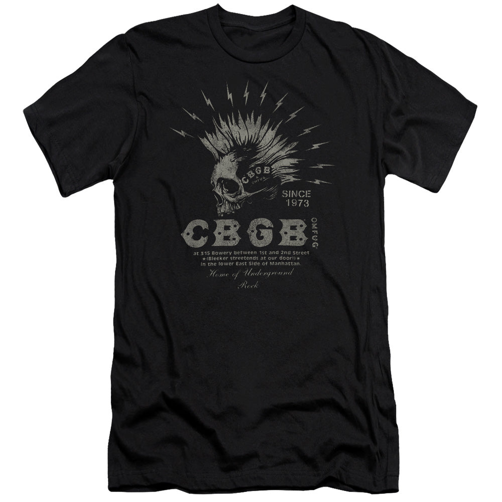 Cbgb/electric Skull-s/s Adult 30/1-black