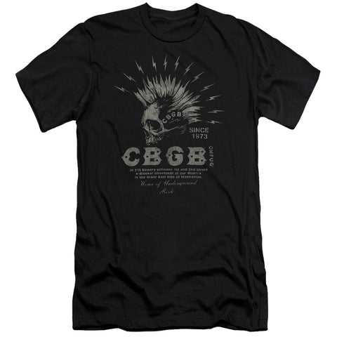 Cbgb/electric Skull-s/s Adult 30/1-black