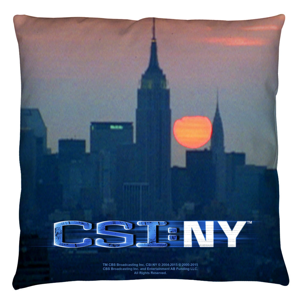 Throw Pillow