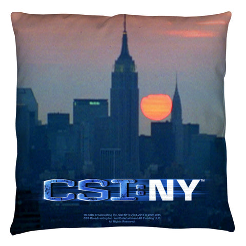 Throw Pillow