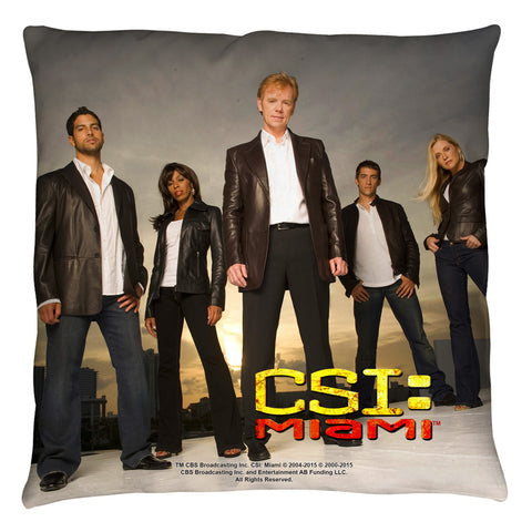 Throw Pillow