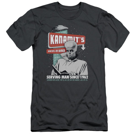Adult Slim Fit Short Sleeve