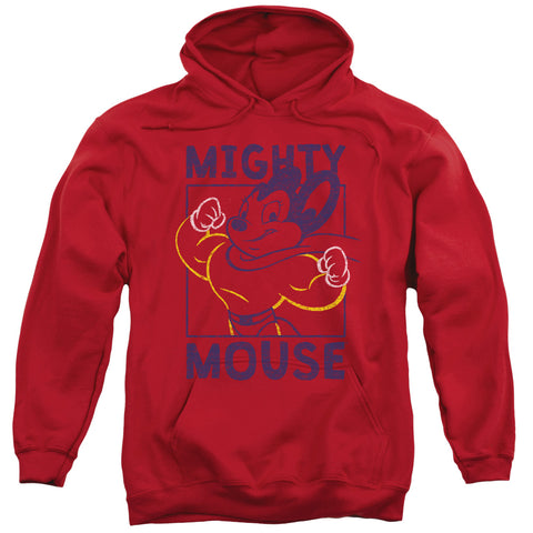 Adult Pull-Over Hoodie