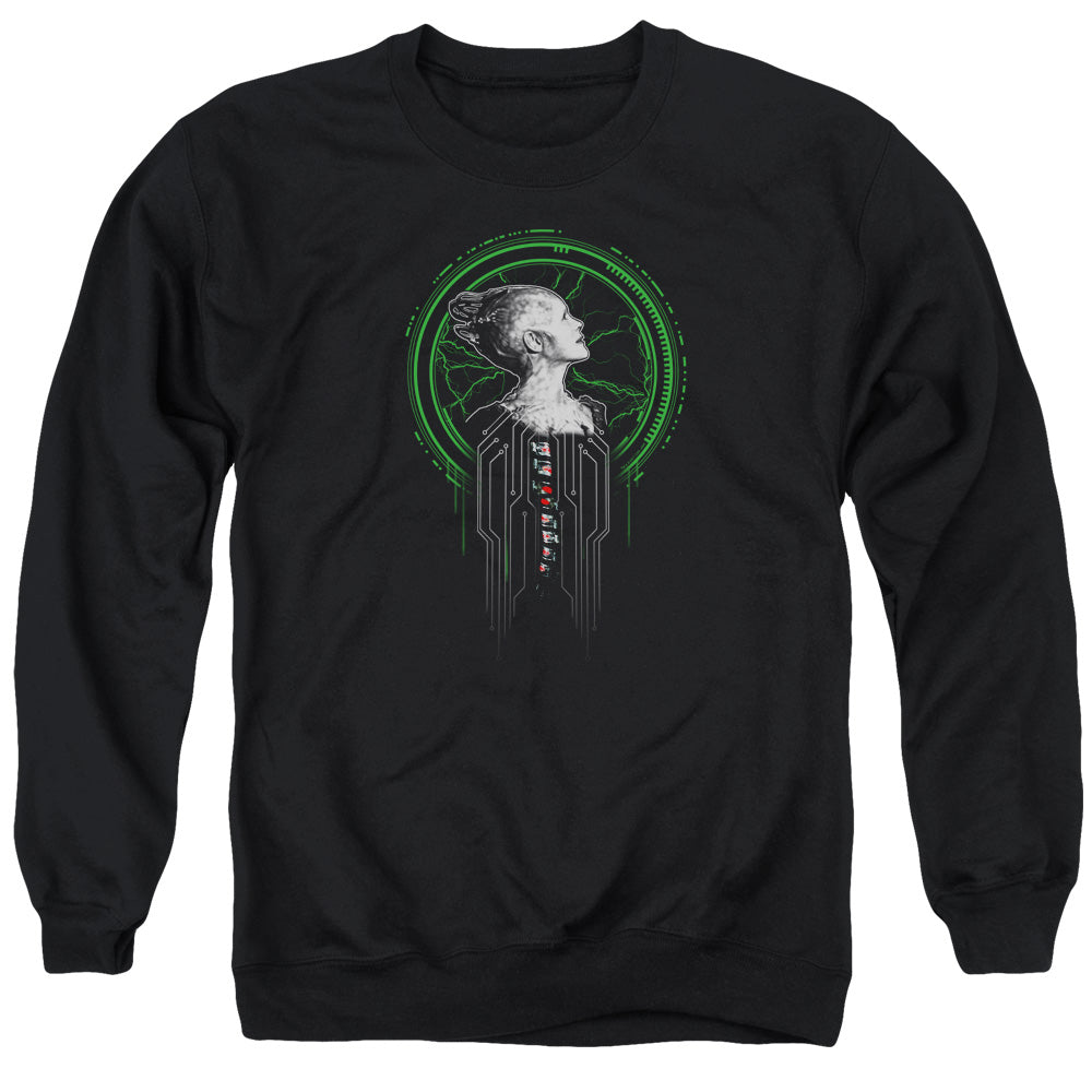 Adult Crewneck Sweatshirt