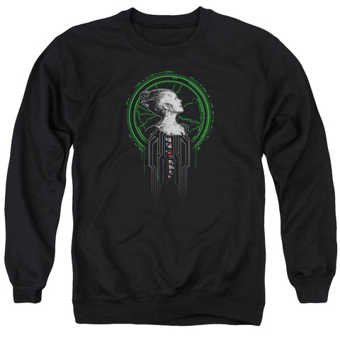 Adult Crewneck Sweatshirt
