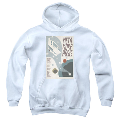 Youth Hooded Sweatshirt