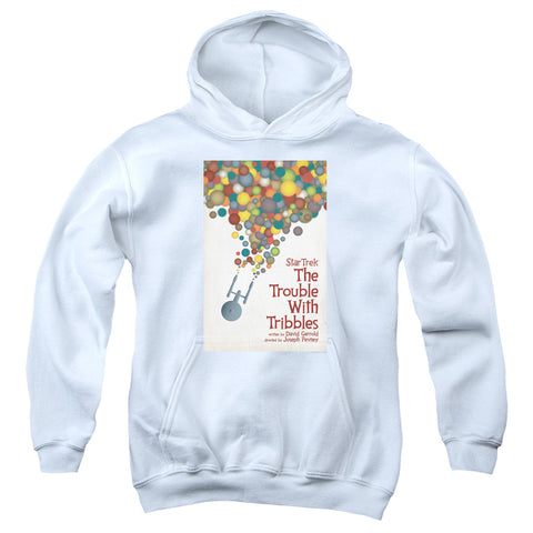 Youth Hooded Sweatshirt