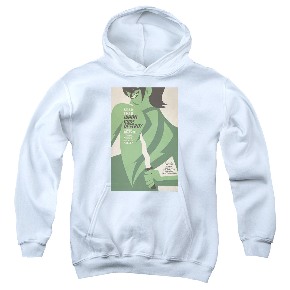 Youth Hooded Sweatshirt