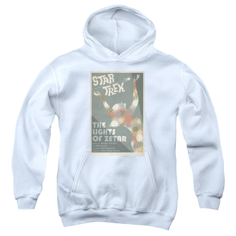 Youth Hooded Sweatshirt