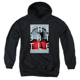 Youth Hooded Sweatshirt