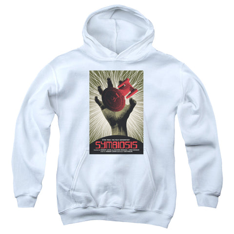 Youth Hooded Sweatshirt