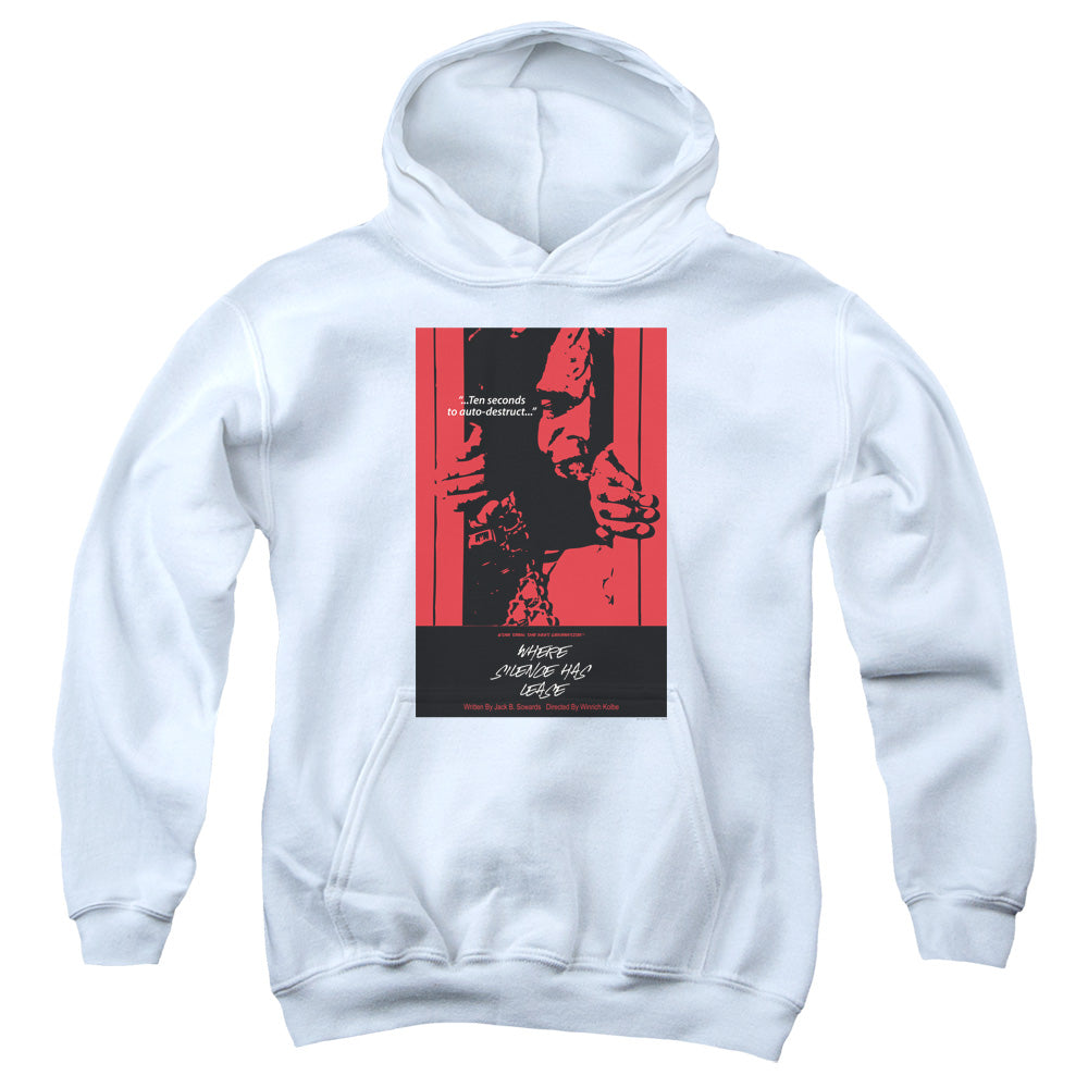 Youth Hooded Sweatshirt