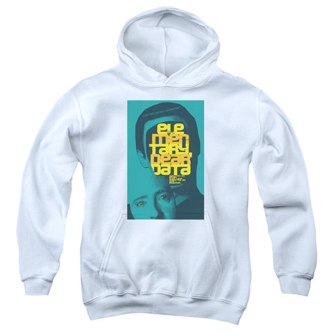 Youth Hooded Sweatshirt