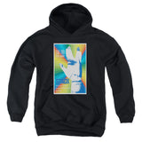 Youth Hooded Sweatshirt