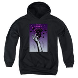 Youth Hooded Sweatshirt