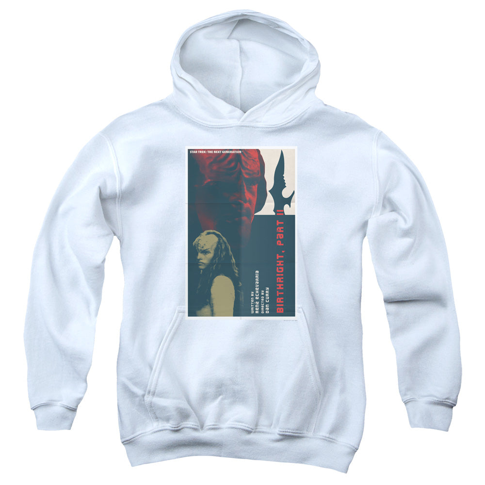 Youth Hooded Sweatshirt