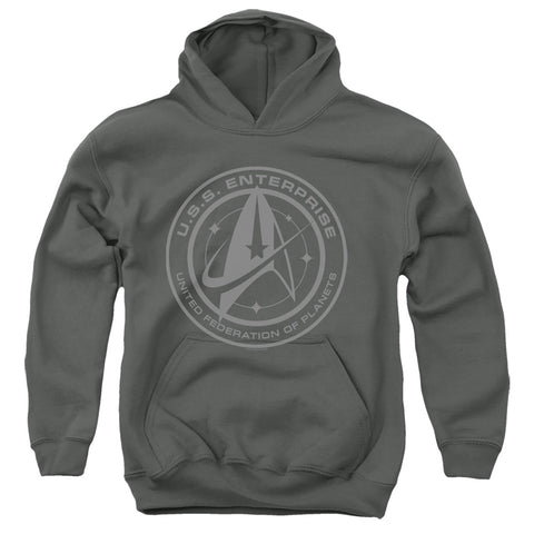 Star Trek Discovery/enterprise Crest-youth Pull-over Hoodie-charcoal