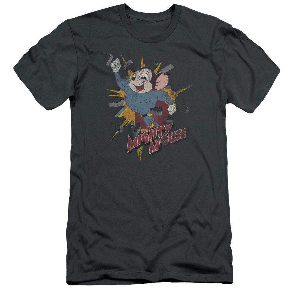 Adult Slim Fit Short Sleeve