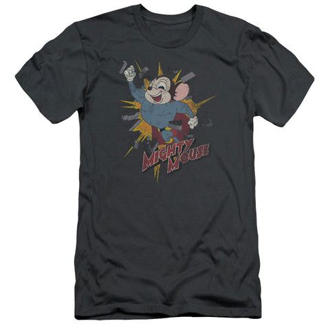 Adult Slim Fit Short Sleeve