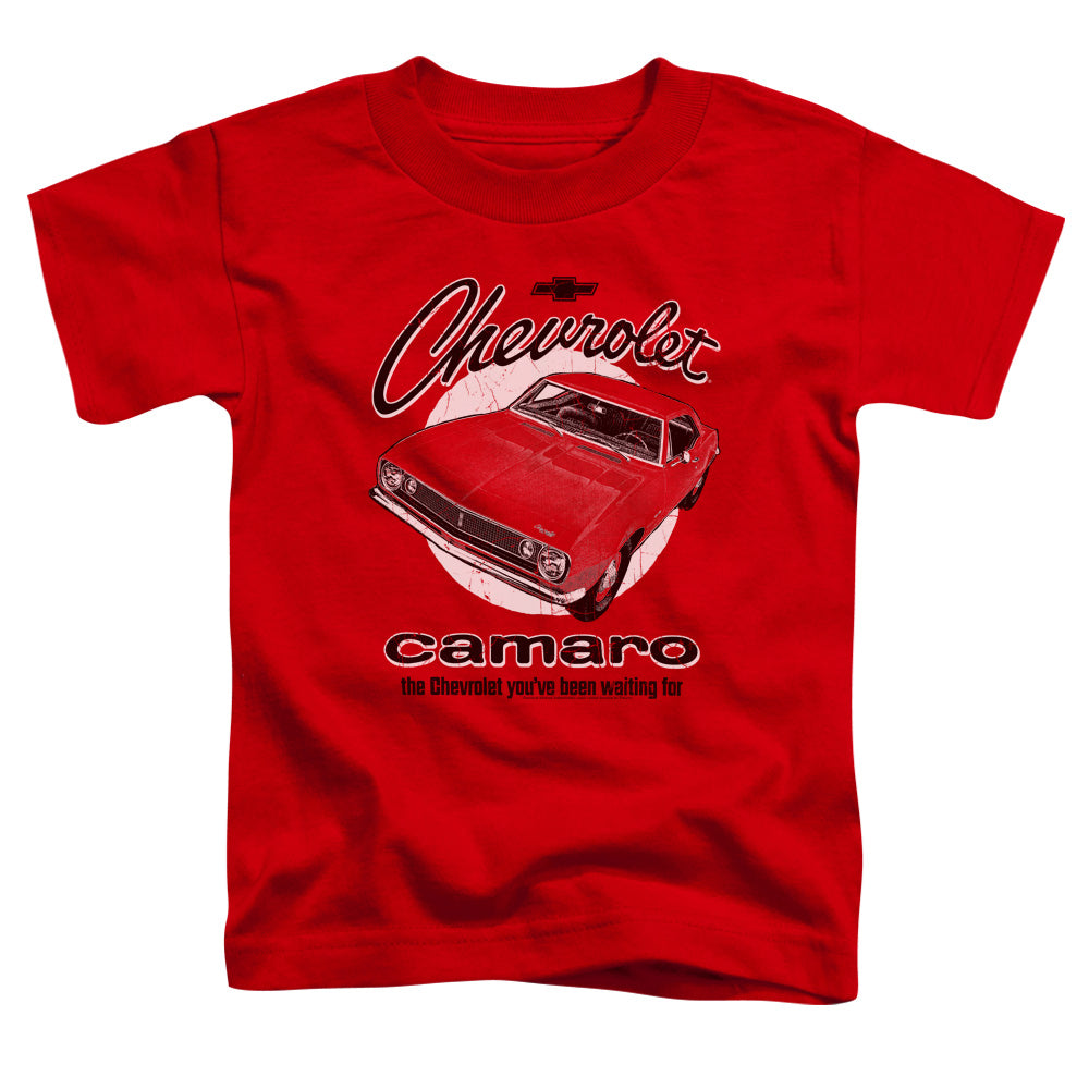 Toddler Short Sleeve