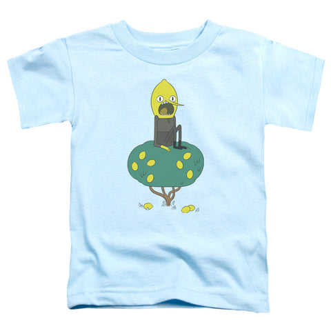 Toddler Short Sleeve