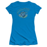 Juniors Sheer Cap Sleeve