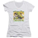 Juniors Sheer Cap Sleeve V-Neck