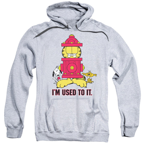 Garfield/i'm Used To It-adult Pull-over Hoodie-athletic Heather