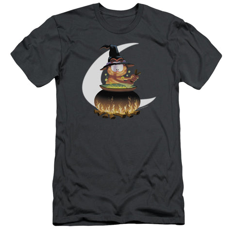 Garfield/stir The Pot-s/s Adult 30/1-charcoal