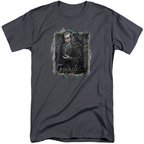 The Hobbit/gandalf-s/s Adult Tall-charcoal
