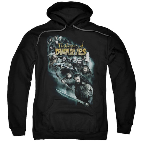 The Hobbit/company Of Dwarves-adult Pull-over Hoodie-black