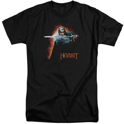 The Hobbit/secret Fire-s/s Adult Tall-black