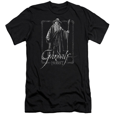 The Hobbit/gandalf Stare-premuim Canvas Adult Slim Fit 30/1-black