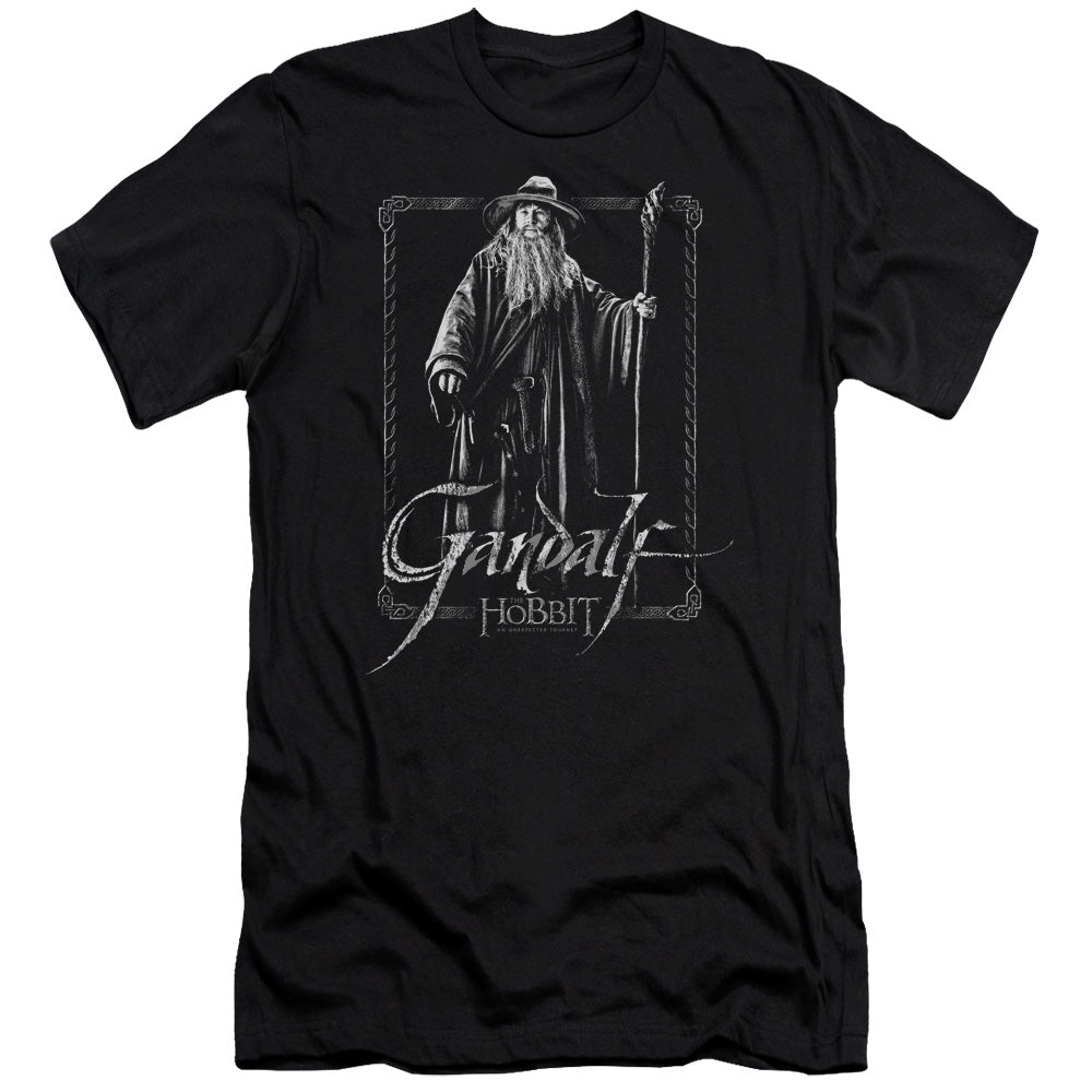 The Hobbit/gandalf Stare - S/s Adult 30/1 - Black