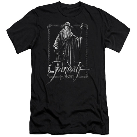 The Hobbit/gandalf Stare - S/s Adult 30/1 - Black