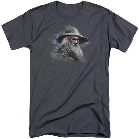 The Hobbit/gandalf The Grey-s/s Adult Tall-charcoal