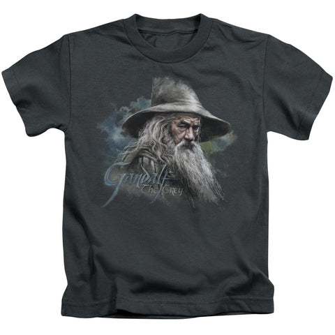 The Hobbit/gandalf The Grey - S/s Juvenile 18/1 - Charcoal