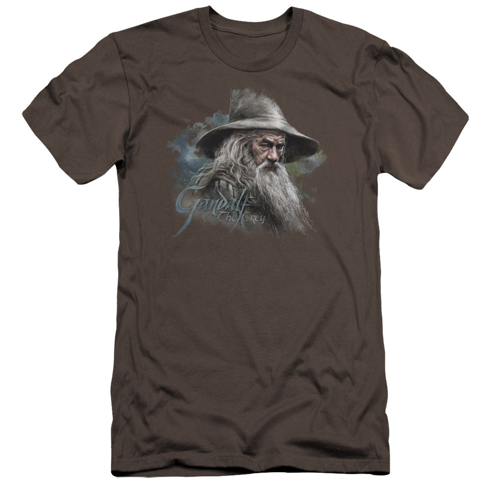 The Hobbit/gandalf The Grey-premuim Canvas Adult Slim Fit 30/1-charcoal